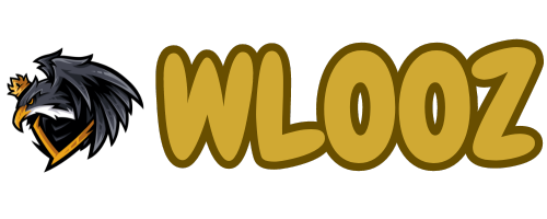 wlooz logo